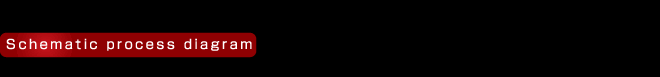 Schematic process diagram